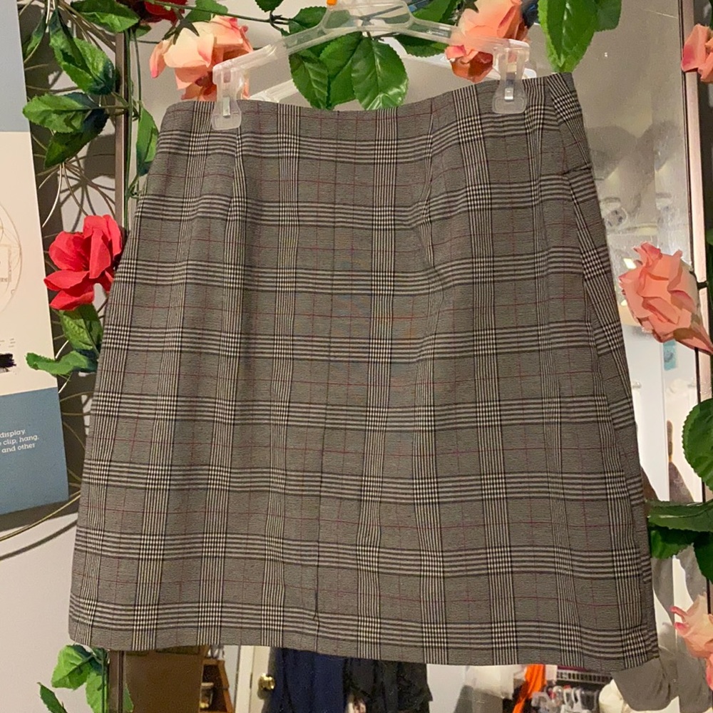 Paid Skirt